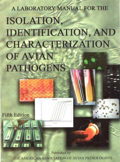 Isolation, identification and characterization of novel .